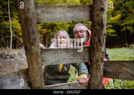 Heureux couple senior escalade à la chasse siège haut dans la forêt d'automne. Banque D'Images