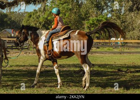 Un garçon caucasien portant un casque et un cheval dans un champ de verdure Banque D'Images