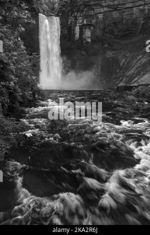 Les fortes pluies d'été ont Taughannock tombe se précipitant avec l'eau, loin, beaucoup plus que d'habitude en juillet. Taughannock Falls, parc national de Taughannock Fall, Tom Banque D'Images