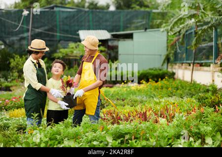Les parents enseignent à leur petit fils comment s'occuper des plantes en pépinière Banque D'Images