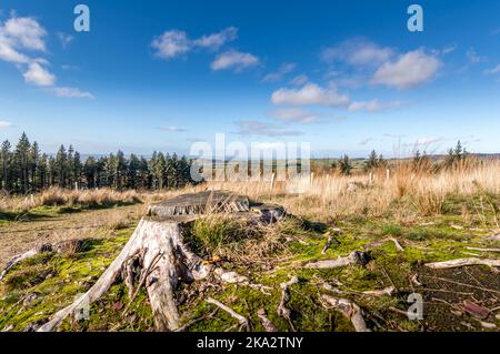 Beacon est tombé dans le Lancashire, au Royaume-Uni Banque D'Images