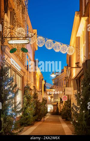 Den bosch, pays-Bas - 21 décembre 2021: La rue commerçante hollandaise pittoresque Ridderstraat avec décembre décoration de noël à Den Bosch Banque D'Images