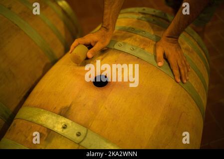 Un homme ouvre un baril de vin dans un vignoble de Chypre. Banque D'Images