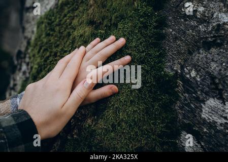 Sauver la planète, la génération verte respectueuse de l'environnement. Les doigts de la mère et de la fille touchent délicatement l'écorce de l'arbre recouverte de mousse verte luxuriante le jour de l'automne. Pour Banque D'Images