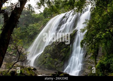 Une eau à effet de soie qui coule d'une cascade dans la forêt tropicale de Thaïlande Banque D'Images