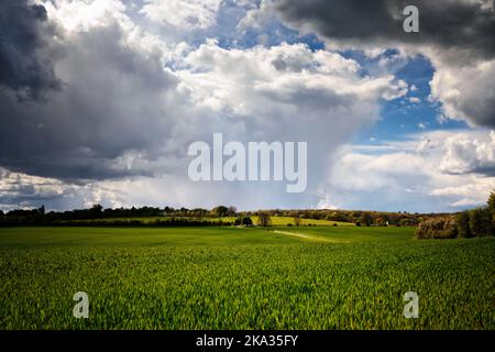 orage de tonnerre pleurant sur les champs de blé avec deux motocyclistes faisant de la poussière Banque D'Images