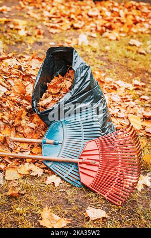 Automne, gros plan de la pile de feuilles mortes et râteau. Service de nettoyage et concept de chute de feuilles Banque D'Images
