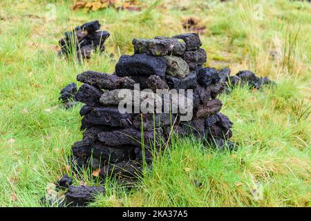 La tourbe de briques de gazon séchant sur l'herbe après avoir été coupé de la tourbière. Le gazon est encore une source populaire de chauffage domestique en Irlande. Banque D'Images