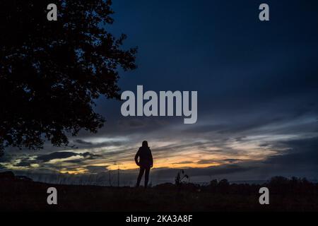 Vue arrière de la femme isolée en silhouette, debout dans la campagne rurale du Royaume-Uni au crépuscule/crépuscule regardant le ciel changeant, moody, atmosphère de coucher de soleil. Banque D'Images