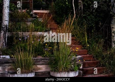 Pots de fleurs plantes décorations aménagement paysager termitoyen le long de marches en bois le jour d'été avec personne architecture de jardin arrière-cour de la maison dans le Colorado, Banque D'Images