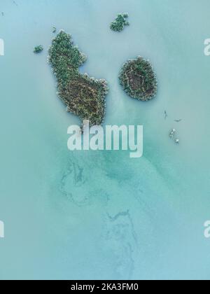 Vue de drone sur les îles de plantes tropicales vertes parmi l'océan turquoise en Islande Banque D'Images