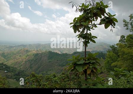 Massif de la Selle, Haïti. Haïti est un pays montagneux et ces montagnes sont parmi ses plus hautes, sur le chemin de Jacmel de la capitale, Port-au-P Banque D'Images