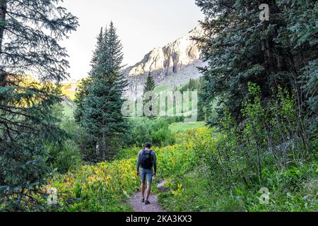 Homme randonnée pédestre avec sac à dos sur le sentier de randonnée au lac de glace à Silverton, Colorado en août début de matinée d'été avec la vallée de prairie verte et le faux helleb Banque D'Images