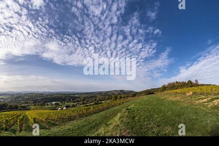Vue sur les vignobles de Vezere walley en automne - vue des vignobles et de la vallée de la Vézère en automne Banque D'Images