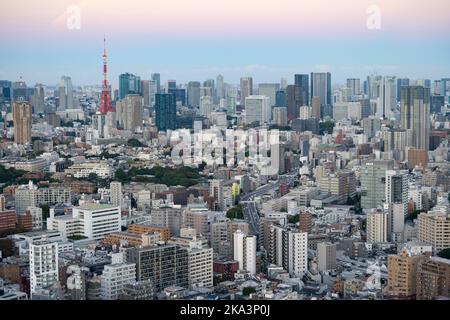 Tokyo, Japon. 31st octobre 2022. Le paysage urbain de Tokyo la nuit avec la Tour de Tokyo (æ±äº Ã‚¿ãƒ¯ãƒ¼) et la ville de Minato (æ¸¯åŒº) vue d'Ebisu (æµæ¯”¯¿).le Japon a récemment rouvert ses portes au tourisme après plus de deux ans d'interdiction de voyager en raison de la pandémie de COVID-19. Le yen s'est considérablement déprécié par rapport au dollar américain, créant des troubles économiques pour le commerce international et l'économie japonaise. Les touristes peuvent faire des achats sans taxe au Japon sur un visa de visiteur temporaire. (Image de crédit : © Taidgh Barron/ZUMA Press Wire) Banque D'Images