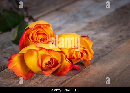 Trois belles roses orange jaune frais sur une table en bois. Copier l'espace. Banque D'Images