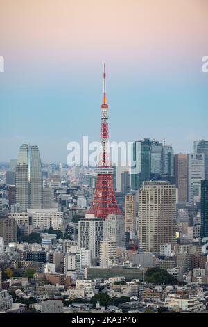 Tokyo, Japon. 31st octobre 2022. Le paysage urbain de Tokyo la nuit avec la Tour de Tokyo (æ±äº Ã‚¿ãƒ¯ãƒ¼) et la ville de Minato (æ¸¯åŒº) vue d'Ebisu (æµæ¯”¯¿).le Japon a récemment rouvert ses portes au tourisme après plus de deux ans d'interdiction de voyager en raison de la pandémie de COVID-19. Le yen s'est considérablement déprécié par rapport au dollar américain, créant des troubles économiques pour le commerce international et l'économie japonaise. Les touristes peuvent faire des achats sans taxe au Japon sur un visa de visiteur temporaire. (Image de crédit : © Taidgh Barron/ZUMA Press Wire) Banque D'Images
