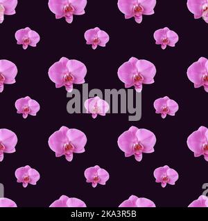 Magnifique motif sans couture de fleurs d'orchidées roses. Motif orchidées pour un motif sur fond violet foncé. Banque D'Images