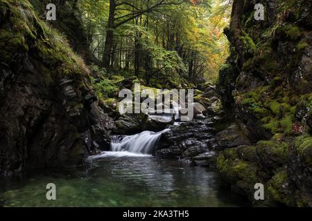 Petite cascade sur le sentier menant à la Cascade d'Ars, Aulus les bains, Ariège, Pyrénées, France, UE Banque D'Images