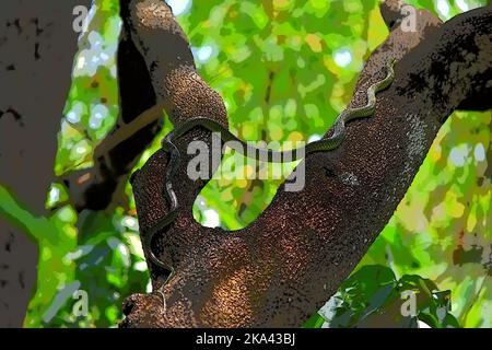 Un cliché sélectif d'un petit serpent vert toxique qui rampent sur l'arbre Banque D'Images