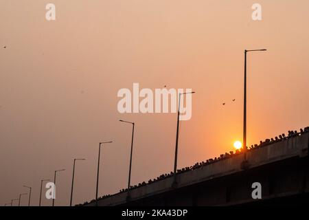 New Delhi, Delhi, Inde. 30th octobre 2022. Les gens qui regardent d'autres qui sont venus célébrer Chhath Puja à New Delhi, Inde, (image de crédit: © Mohsin Javed/Pacific Press via ZUMA Press Wire) Banque D'Images