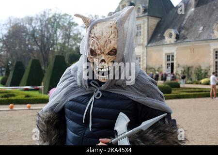 Château Azay le Ferron, Centre, France. Banque D'Images