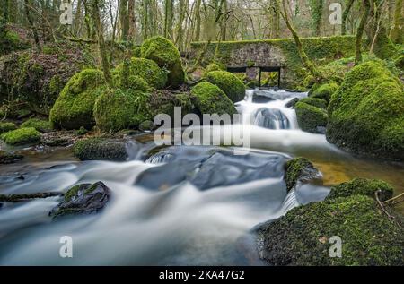 Longue exposition de la cascade rom la rivière Kennall qui coule sous un vieux pont à Kennall Vale dans les Cornouailles Banque D'Images