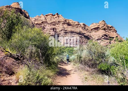 Paysages dans le parc naturel de Vasquez Rocks, Pacific Crest Trail, Agua Dulce, Californie, États-Unis Banque D'Images