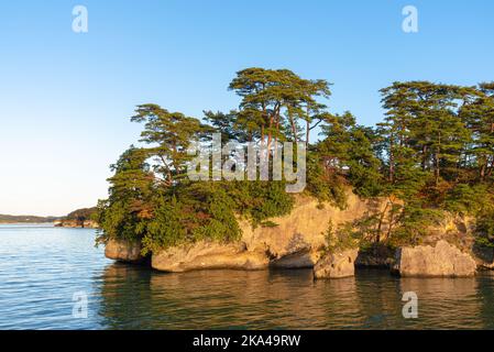 Matsushima Bay dans crépuscule, belles îles couvertes de pins et de roches. L'une des trois vues du Japon Banque D'Images