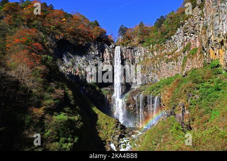 Magnifique paysage des chutes de Nikko Kegon au Japon en automne, saison des feuilles Banque D'Images