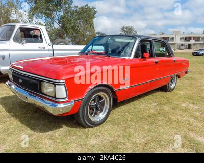 Old Red Falcon Futura SP berline 4 portes 1980 dans la campagne. Nature, herbe, arbres. Salon de la voiture classique. CopySpace Banque D'Images