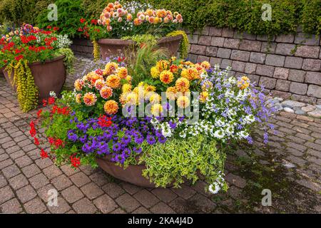 Finlande, Kotka - 18 juillet 2022: Parc et lac de Sopokanlahti. Grands vaisseaux contenant des combinaisons de fleurs colorées Banque D'Images