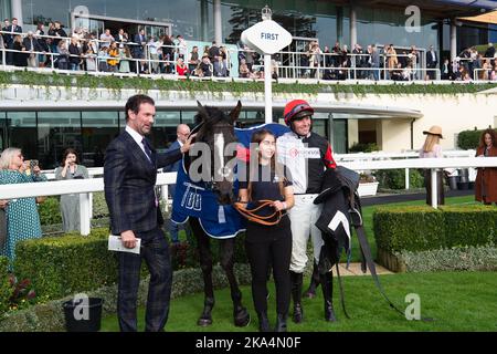 Ascot, Berkshire, Royaume-Uni. 29th octobre 2022. Le cheval Thyme White monté par le jockey Lorcan Williams remporte le Byrne Group handicap Steeple Chase. Propriétaire la famille Steward et Michael Blencowe. Entraîneur Paul Nicholls. Crédit : Maureen McLean/Alay Banque D'Images