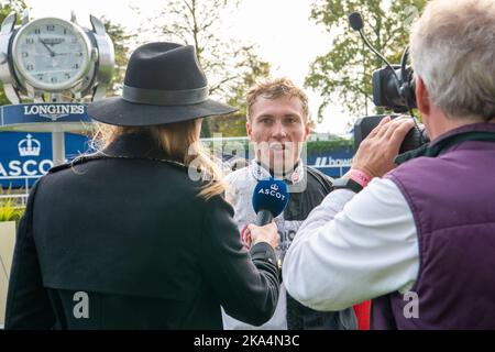 Ascot, Berkshire, Royaume-Uni. 29th octobre 2022. Le cheval Thyme White monté par le jockey Lorcan Williams remporte le Byrne Group handicap Steeple Chase. Propriétaire la famille Steward et Michael Blencowe. Entraîneur Paul Nicholls. Crédit : Maureen McLean/Alay Banque D'Images