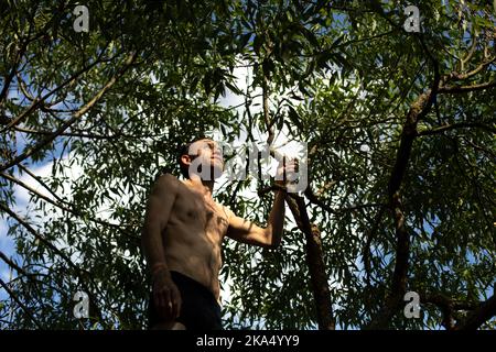 Guy à l'ombre des plantes sans vêtements. Banque D'Images