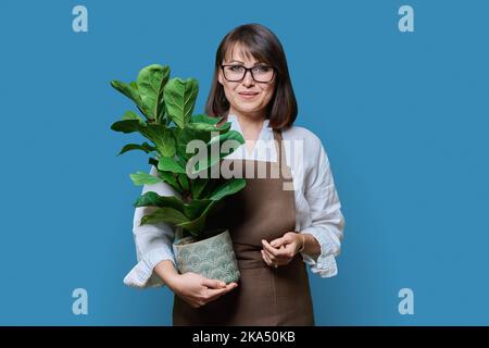 Femme en tablier avec plante en pot, sur fond bleu Banque D'Images