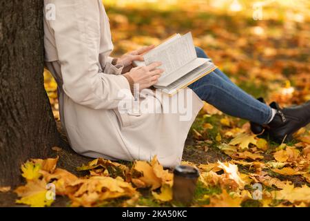 Une jeune femme européenne aux cheveux rouges en imperméable lit le livre, s'assoit près de l'arbre dans le parc avec des feuilles jaunes Banque D'Images