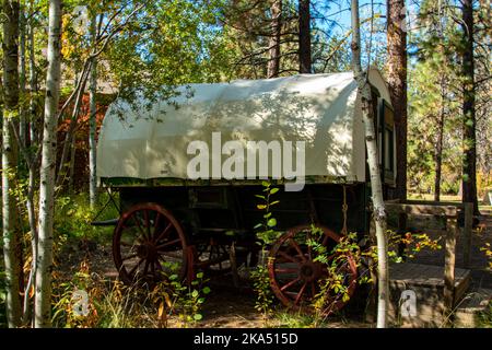 Modèle d'un wagon couvert utilisé pour voyager vers l'ouest dans les années 1800, entouré d'arbres. Banque D'Images