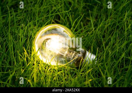 Photo en gros plan d'une ampoule brillante avec un fond naturel comme symbole de réduction de la consommation d'énergie. Concept de sauvegarde ou de protection de la planète ou du monde. Banque D'Images