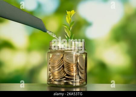 Gros plan photo de verre jae plein de pièces de monnaie et la croissance de plante à l'intérieur comme un symbole d'investir ou de financement dans les affaires.concept de croissance financière de l'entreprise Banque D'Images