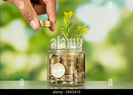 Gros plan photo de verre jae plein de pièces de monnaie et la croissance de plante à l'intérieur comme un symbole d'investir ou de financement dans les affaires.concept de croissance financière de l'entreprise Banque D'Images