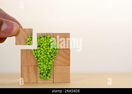 Photo en gros plan des herbes en forme de bulbe comme symbole de l'énergie verte. Concept de politique durable de l'électricité ou de l'énergie. Banque D'Images