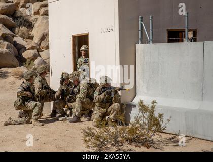 Des soldats britanniques du Groupe des essais expérimentaux ont été victimes d'une attaque dans un village d'entraînement lors du projet convergence 2022 à fort Irwin, Californie, le 27 octobre 2022. PC22 l'expérimentation intègre des technologies et des concepts de tous les services et de partenaires multinationaux, y compris dans les domaines de l'autonomie, de la réalité augmentée, des communications tactiques, de la fabrication de pointe, des systèmes aériens sans pilote et des feux à longue portée. (É.-U. Photo de l'armée par le sergent d'état-major. Matthew Lumagui) Banque D'Images