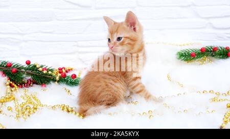 Ginger Tabby ludique curieux chaton de noël se trouve à côté de décorations de noël, jouets. Concept de Noël et de nouvel an Banque D'Images