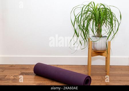 Palmier de queue de cheval dans le jardinière en céramique blanche avec tapis de yoga contre le mur blanc Banque D'Images