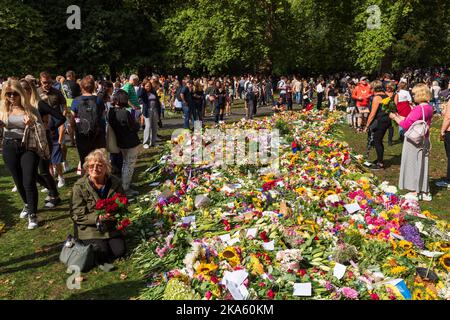 Une femme qui pose des fleurs sur les hommages floraux de Green Park, laissée par des bourneurs pour marquer la mort de la reine Elizabeth II. Green Park, Londres, Royaume-Uni. 11 septembre 20 Banque D'Images