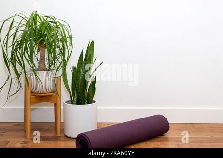 Palmier ponytail et plante de serpent dans le semoir en céramique blanche avec tapis de yoga contre le mur blanc Banque D'Images