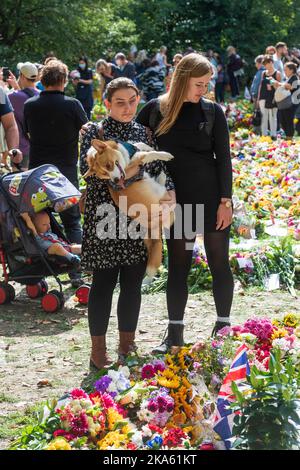 Une femme qui pleure en regardant les hommages floraux à Green Park, laissé par des bourneurs pour marquer la mort de la reine Elizabeth II. Green Park, Londres, Royaume-Uni. 11 septembre Banque D'Images