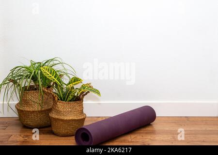 Palmier ponytail et plante Croton dans le panier avec tapis de yoga contre le mur blanc Banque D'Images