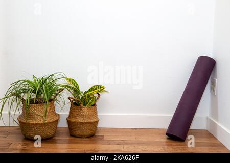 Palmier ponytail et plante Croton dans le panier avec tapis de yoga contre le mur blanc Banque D'Images